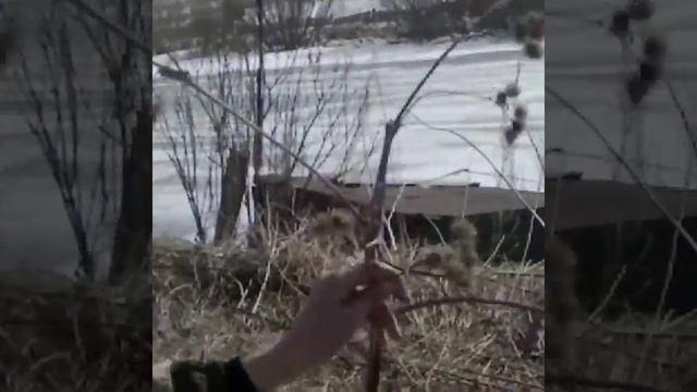 Что сделал кроты зимой а люди вемной смотреть онлайн