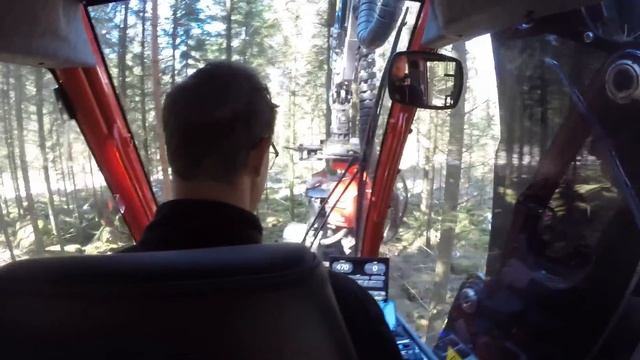 Komatsu 901XC med S82 i gallring смотреть онлайн