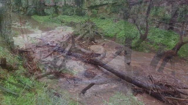 Shawns creek at The Emu Hive on the 5th March 2020 in flood. смотреть онлайн