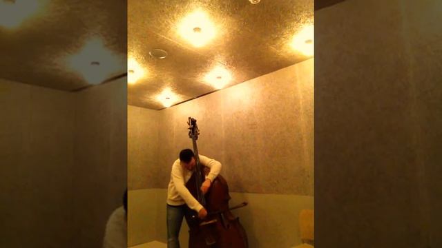 BOTTESINI FLAT-CHROME PIRASTRO strings. Damián Rubido González, bass. Follow links below for+string смотреть онлайн