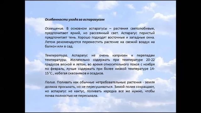 АСПАРАГУС ВИДЫ, УХОД И РАЗВЕДЕНИЕ смотреть онлайн