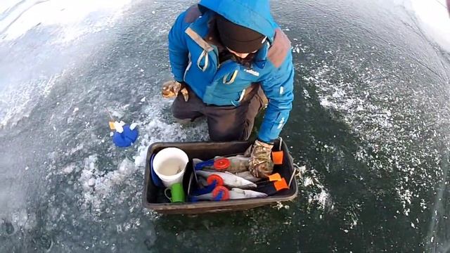 Рыбалка кампании 2021.Верхний Тобольский Водохранилище.Бешеный клёв Судака!!! Казахстан. смотреть онлайн