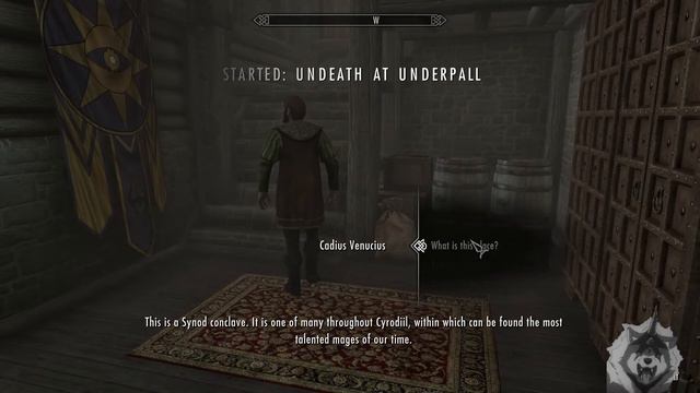 finally fixed my skyrim mods (Culprit was SSE Engine FIxes) смотреть онлайн
