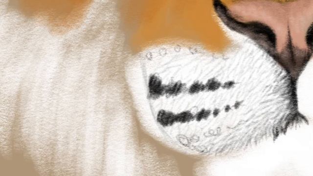 Как красиво нарисовать тигра часть 2 смотреть онлайн