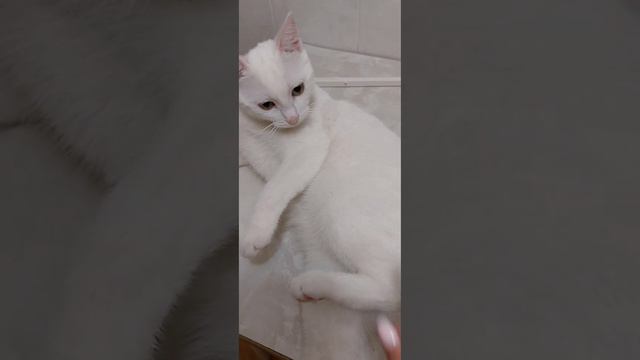 Пришла я значит домой,а тут такое.... смотреть онлайн