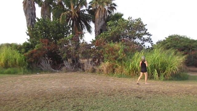 Nice naturalized grove of Washingtonia robusta Palm trees смотреть онлайн