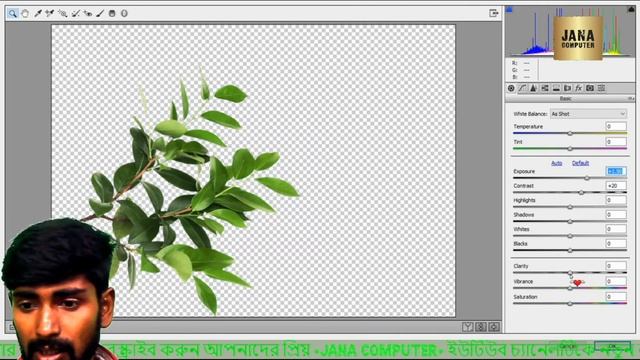 100+Tree Green Branches PNG for Photoshop || Leafs PNG Files Download for FREE || Green Branches смотреть онлайн