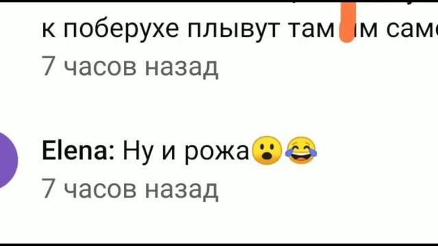 Их надо знать в лицо! Набеги хомяков! Они в баню улетели ? смотреть онлайн