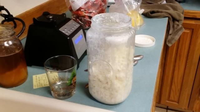 How to care for Kefir смотреть онлайн