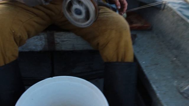 08 12 2019 утро БАКЛАНЫ в поиске ХАМСЫ Кобулети Аджария Грузия смотреть онлайн