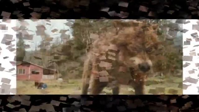 сумерки лучший смотреть онлайн
