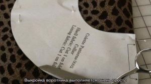 Воротник для кошки: как сделать своими руками