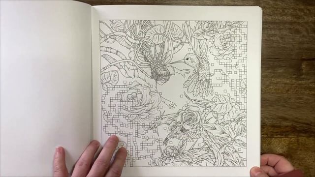 MYTHOGRAPHIC Magical Earth - Joseph Catimbang // Adult Colouring Book Flip Through смотреть онлайн