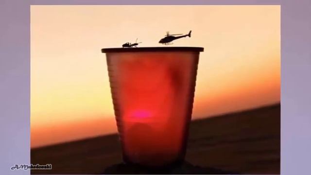 УДАЧНЫЙ КАДР или ПОКАЗАЛОСЬ(+Конкурс) смотреть онлайн