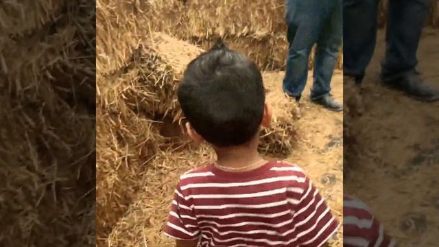 Lost in the maze!! Help!!! смотреть онлайн