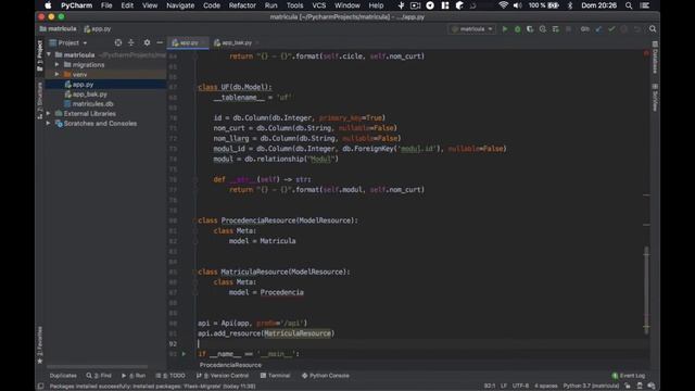 Projecte matricules I - Creació d'un API en Python смотреть онлайн