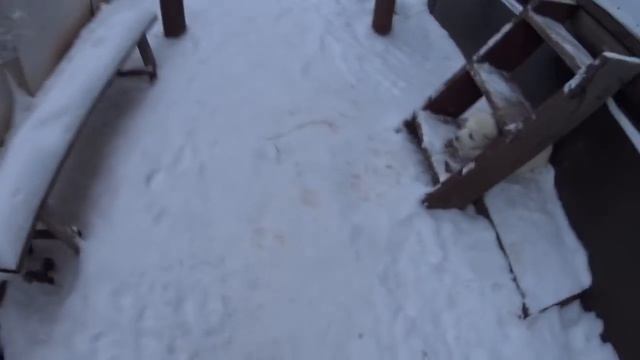 АЛАБАЙ И ЩЕНКИ смотреть онлайн