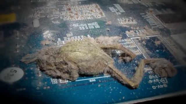 Самый грязный компьютер смотреть онлайн