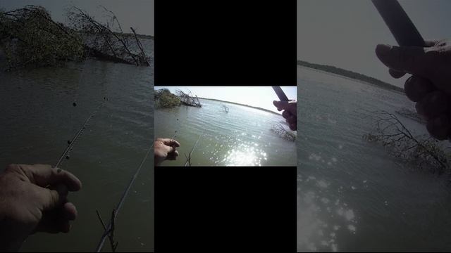 ловля уклейки на поплавочную удочку на реке смотреть онлайн