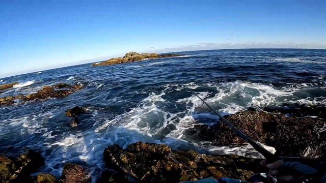 Major Craft jigpara surf ловит даже Лобана( кефаль).Рыбалка с берега в Южной Корее смотреть онлайн