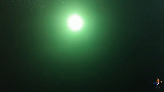 2014-11-14 North Ari Atoll - Fesdhoo Lagoon - A sunny night смотреть онлайн