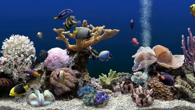 Мгновенное избавление от стресса и беспокойства, аквариум,исцеляющие звуки для тела и души. смотреть онлайн