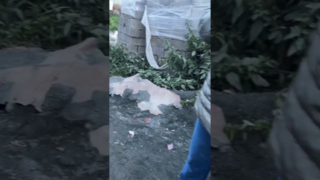 Кто сегодня уедет домой 🏘️ смотреть онлайн