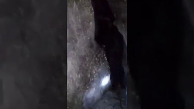 Алимкина пищера смотреть онлайн