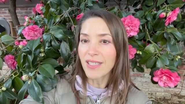 Olya is reading. Вірш І.Франко "Чого являєшся мені у сні?" смотреть онлайн