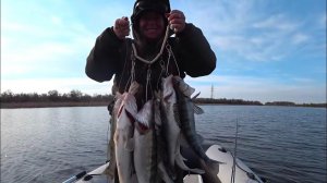 Наша рыбалка в АСТРАХАНИ, часть 5.  7/2 в пользу резины, или как меня обловили!))))