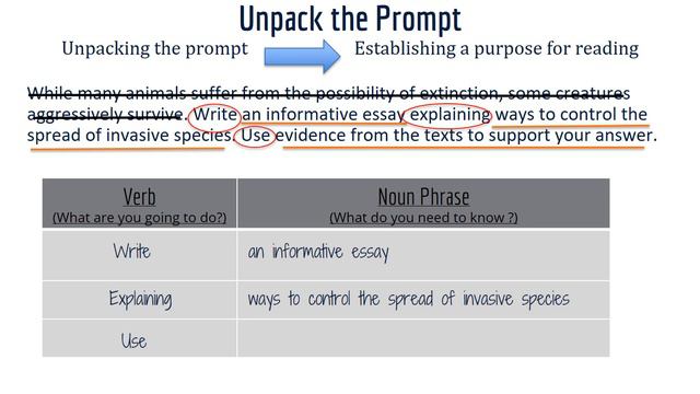 Unpacking the Prompt смотреть онлайн