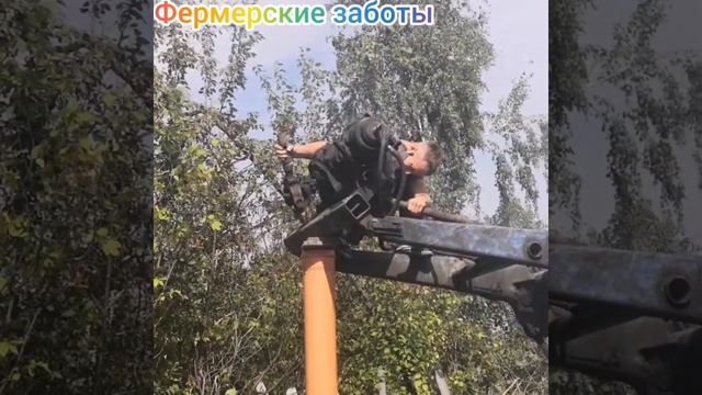 Стройка свинарника, часть 2. смотреть онлайн
