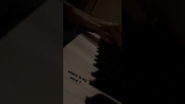 where is my mind - pixies - piano смотреть онлайн