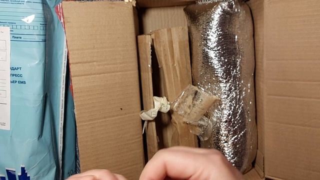 Вариегатные ароидные, новое в коллекции Распаковка. Филодендроны, сингониумы. смотреть онлайн