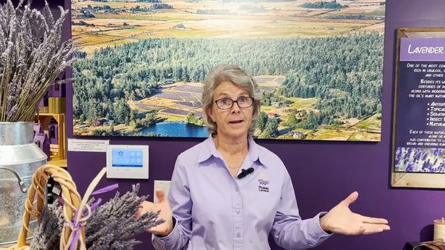 The Health Benefits of Lavender смотреть онлайн
