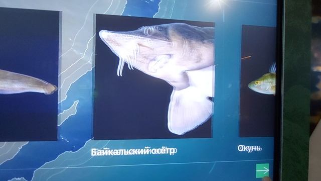 ст.Слюнядка (Байкал)??✌️