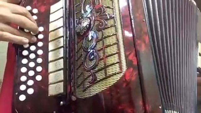 Gaita Ponto Acordeon MONIKA 10 IV 9x2 Vinho dOuro = Demo смотреть онлайн