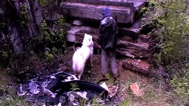 Мефодий, 4-й пуск (поиск+убегание) смотреть онлайн