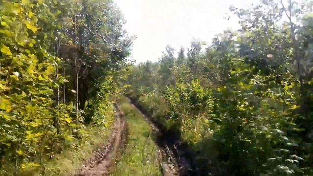 Россоны. смотреть онлайн