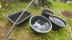 АБИССИНСКАЯ СКВАЖИНА С НУЛЯ | РАСКАЧИВАЕМ СУГЛИНОК