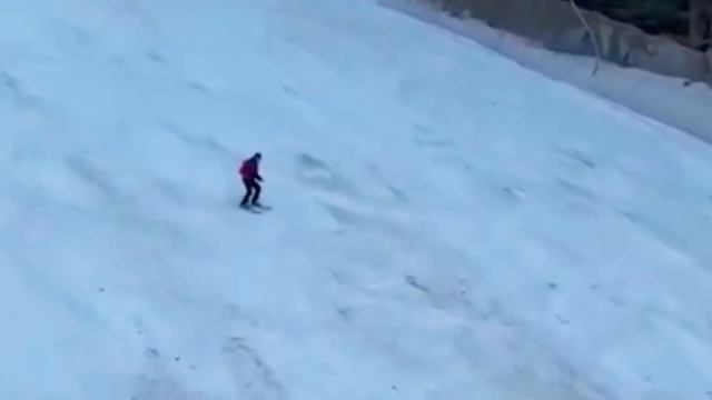 Schior Fugărit De Urs în Predeal
