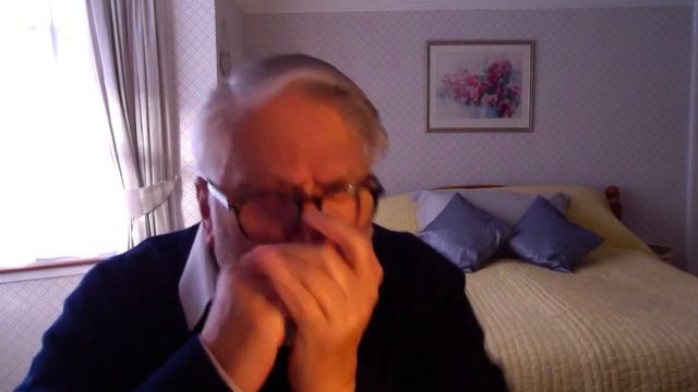 HOHNER SPECIAL 20 HARMONICA смотреть онлайн