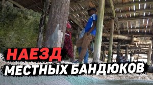 Рэкет на пляже. Охота на крабов. Занзибар 2021