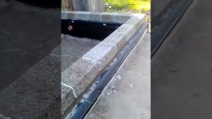 кладка арболитовых блоков на пена-цемент Макрофлекс