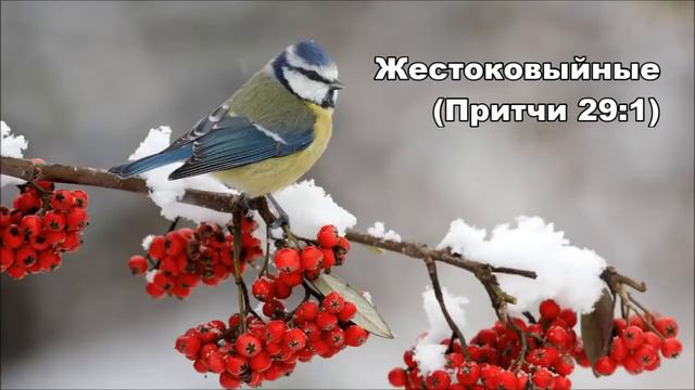 13.12.2015 Будьте смиренными (Притчи 29:1–14_ смотреть онлайн