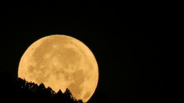 Frédéric CHOPIN: Nocturne in C sharp Minor - David Hernando Vitores - Saxophone and piano смотреть онлайн