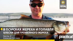 Блесна для ТРОФЕЙНОГО ЖЕРЕХА! В поисках жереха и голавля. Часть 2. Алексей Соглаев.