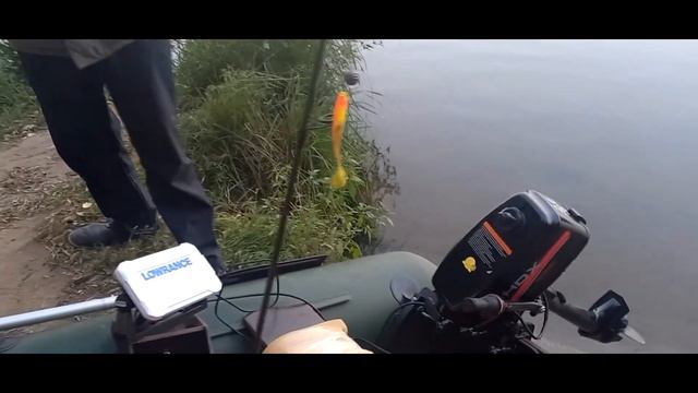 Москва река. Рыбалка , отдых, ловля хищника. д.Маришкино. смотреть онлайн