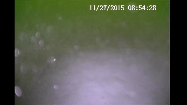 Окунь пойман смотреть онлайн