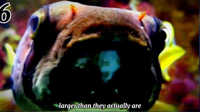 10 Terrifyingly Deadly Animals: Nature's Most Lethal Predators! | The most dangerous animals смотреть онлайн